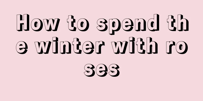 How to spend the winter with roses