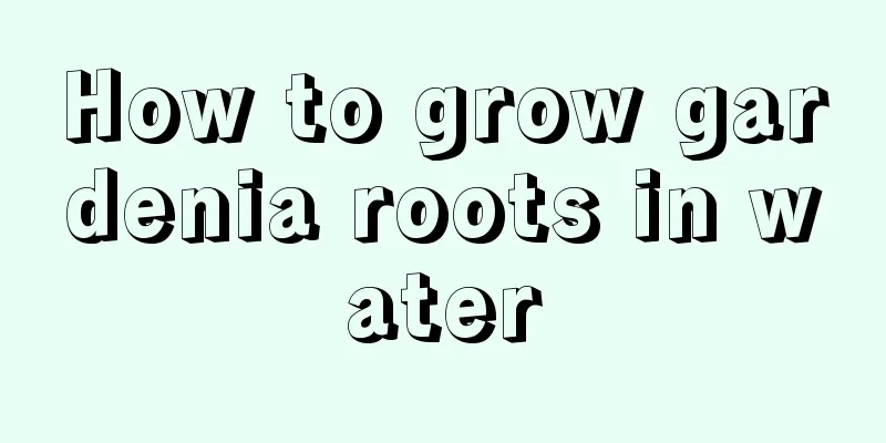 How to grow gardenia roots in water