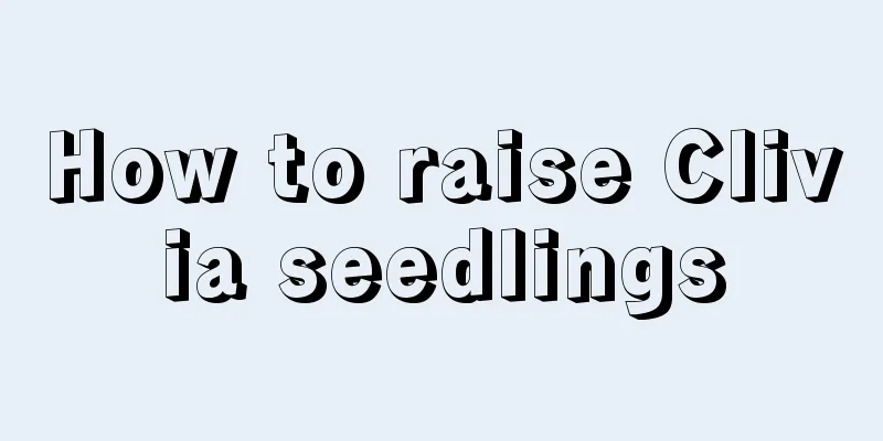 How to raise Clivia seedlings