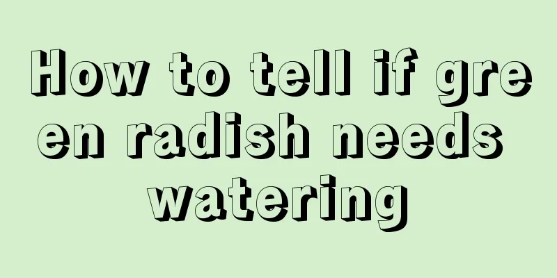 How to tell if green radish needs watering