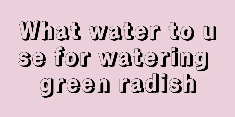 What water to use for watering green radish