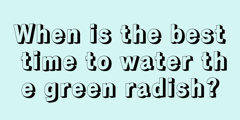 When is the best time to water the green radish?