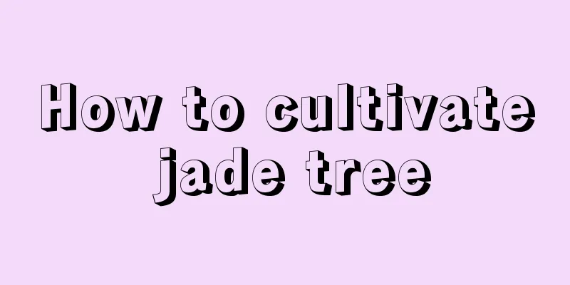 How to cultivate jade tree