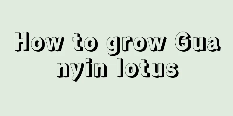 How to grow Guanyin lotus