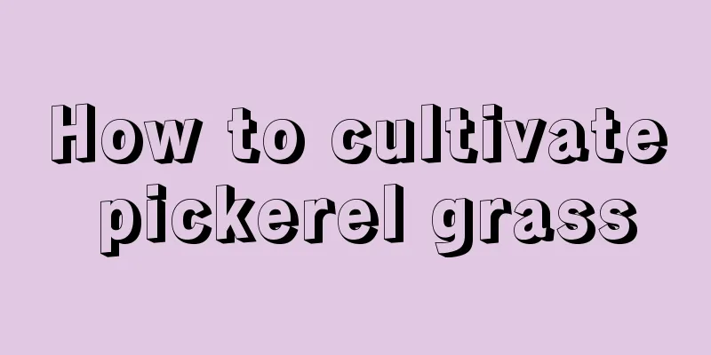 How to cultivate pickerel grass