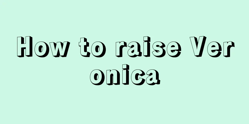 How to raise Veronica