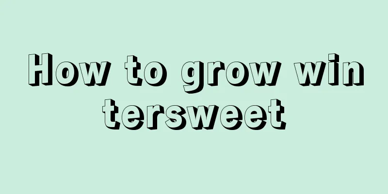 How to grow wintersweet