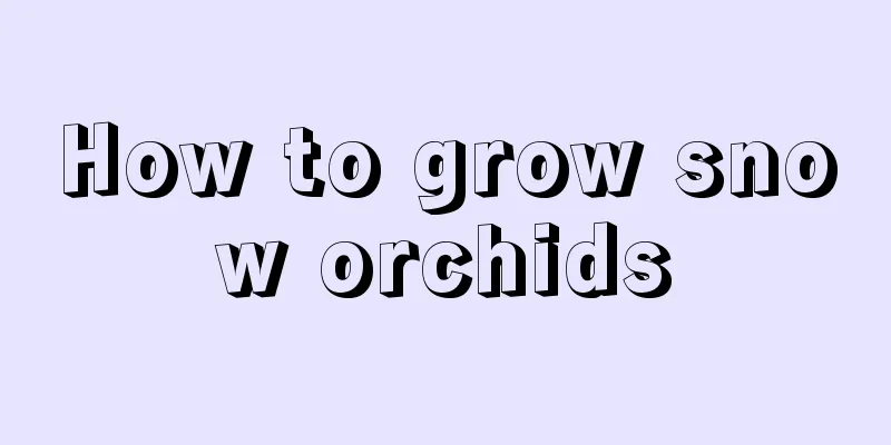 How to grow snow orchids