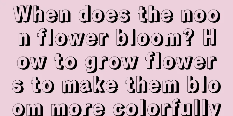 When does the noon flower bloom? How to grow flowers to make them bloom more colorfully