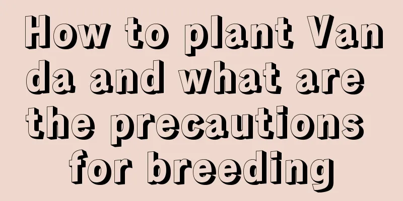 How to plant Vanda and what are the precautions for breeding