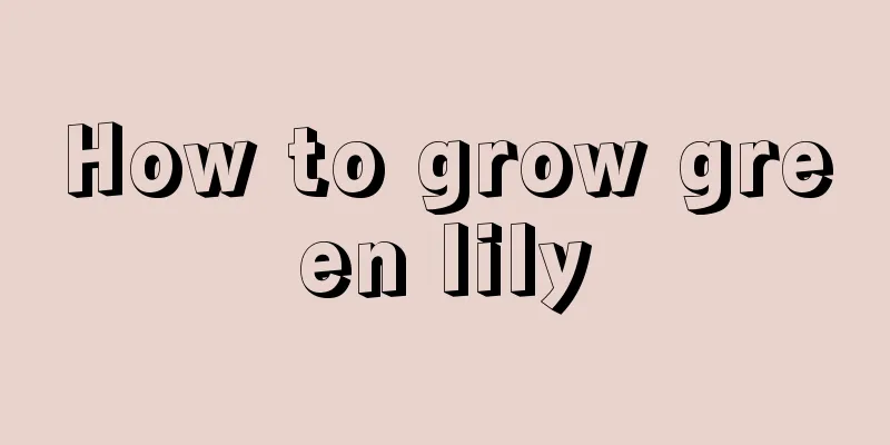 How to grow green lily