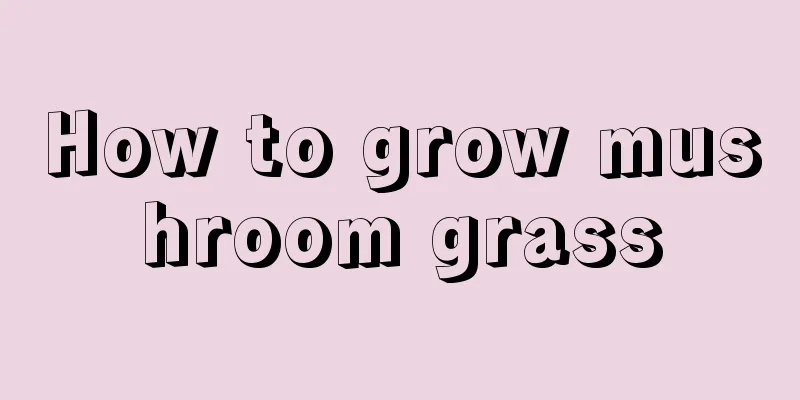 How to grow mushroom grass