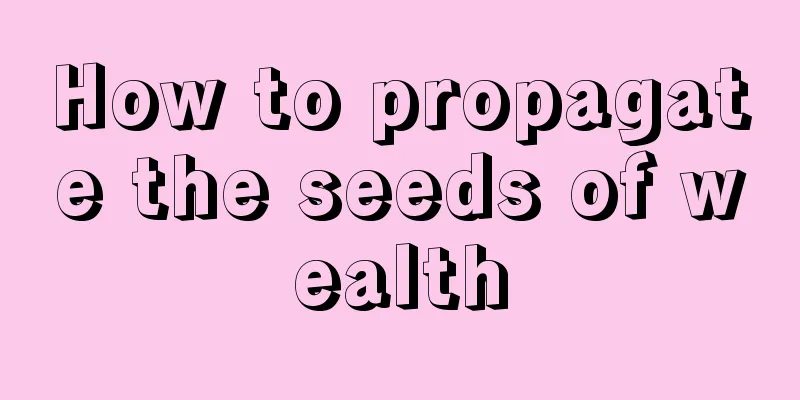 How to propagate the seeds of wealth