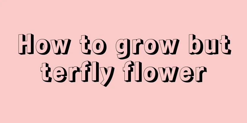 How to grow butterfly flower