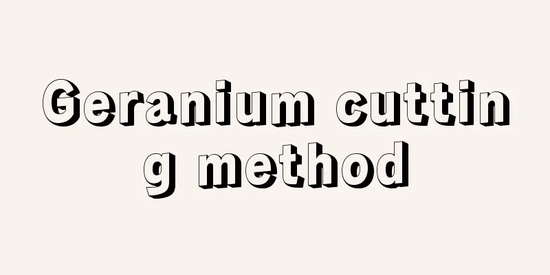 Geranium cutting method