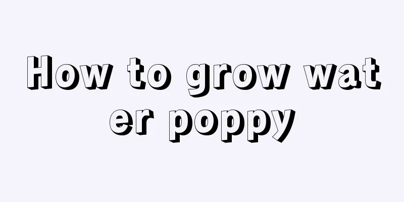 How to grow water poppy