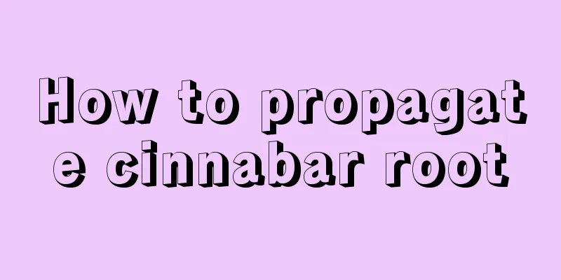 How to propagate cinnabar root