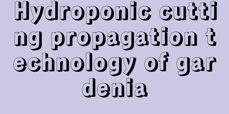 Hydroponic cutting propagation technology of gardenia