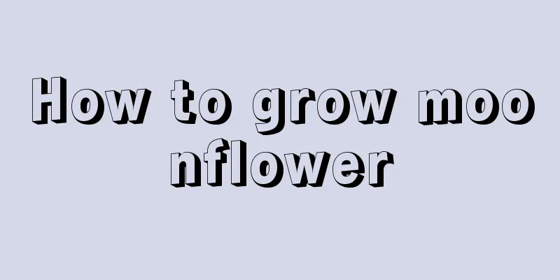 How to grow moonflower