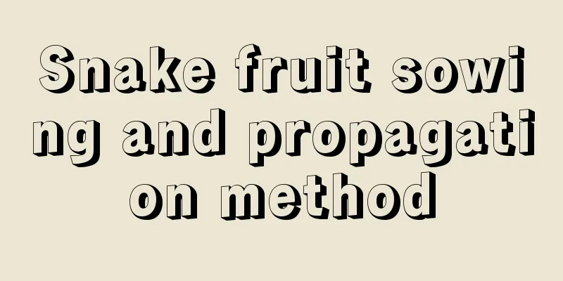 Snake fruit sowing and propagation method