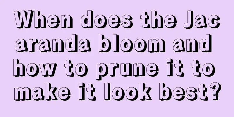 When does the Jacaranda bloom and how to prune it to make it look best?