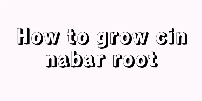 How to grow cinnabar root