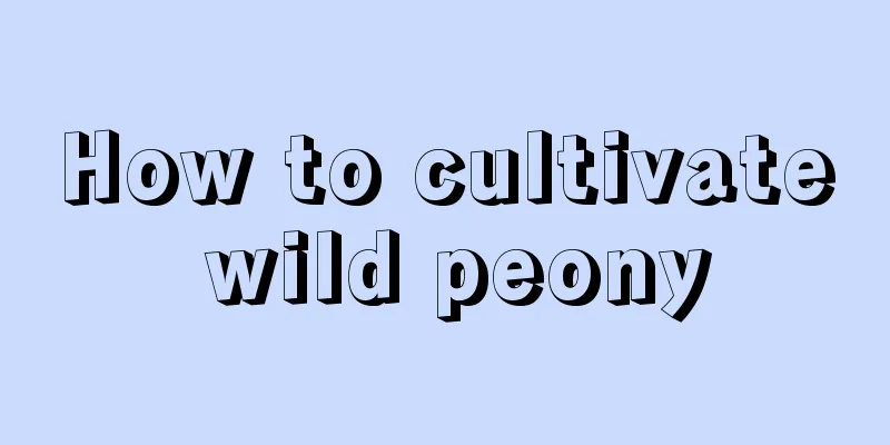 How to cultivate wild peony