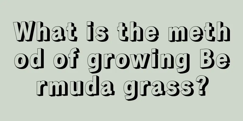 What is the method of growing Bermuda grass?