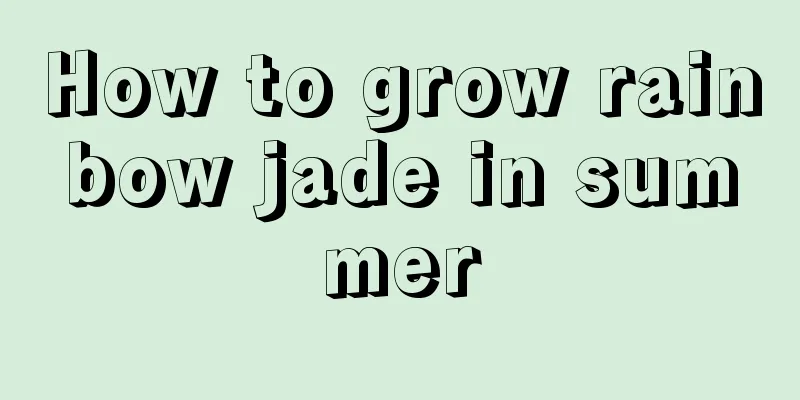 How to grow rainbow jade in summer