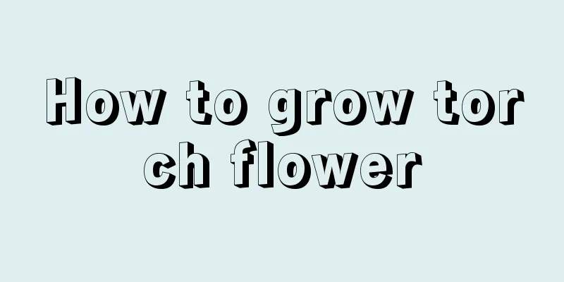 How to grow torch flower