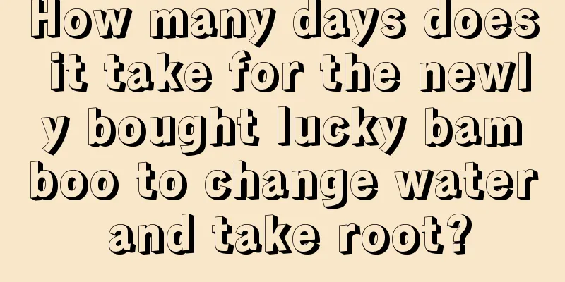 How many days does it take for the newly bought lucky bamboo to change water and take root?