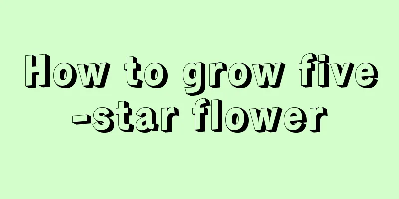 How to grow five-star flower