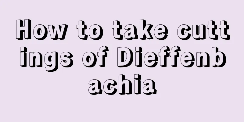 How to take cuttings of Dieffenbachia