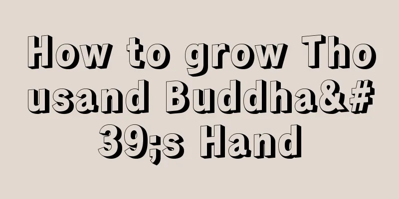 How to grow Thousand Buddha's Hand