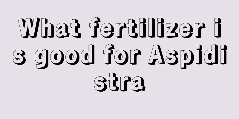 What fertilizer is good for Aspidistra