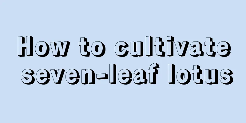 How to cultivate seven-leaf lotus