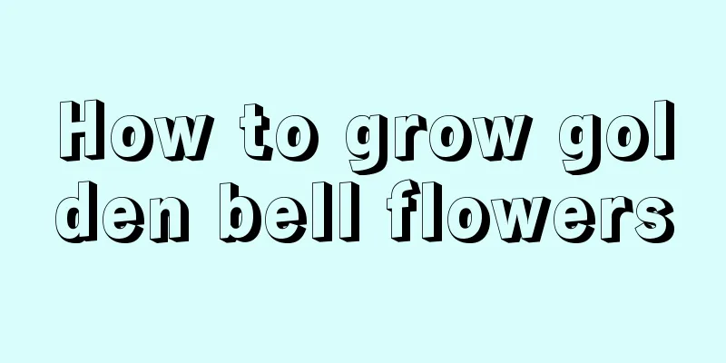 How to grow golden bell flowers