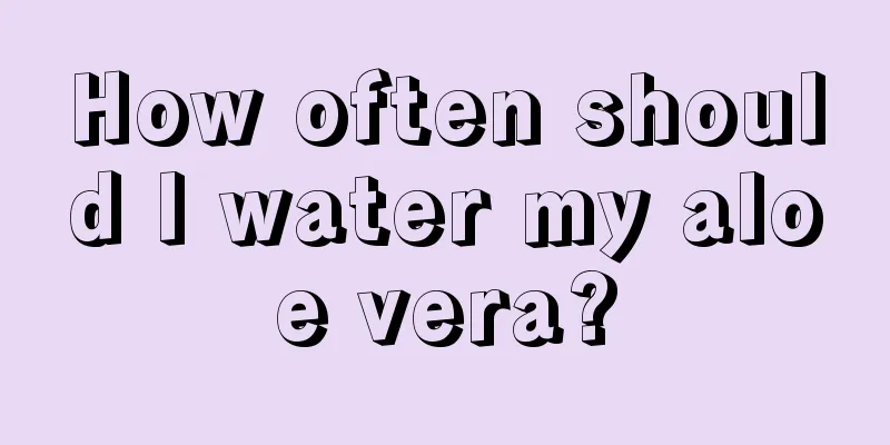 How often should I water my aloe vera?