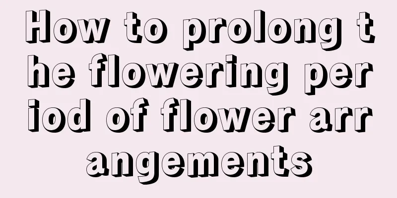 How to prolong the flowering period of flower arrangements