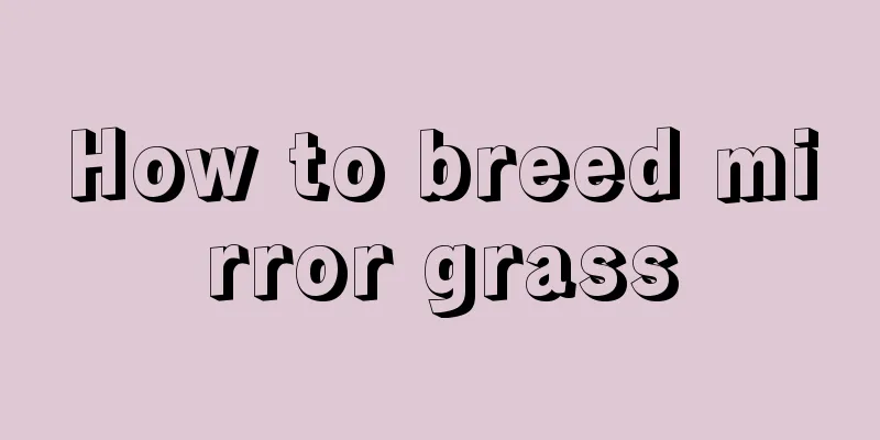 How to breed mirror grass