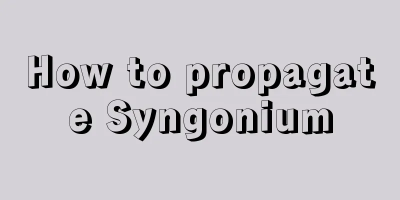 How to propagate Syngonium