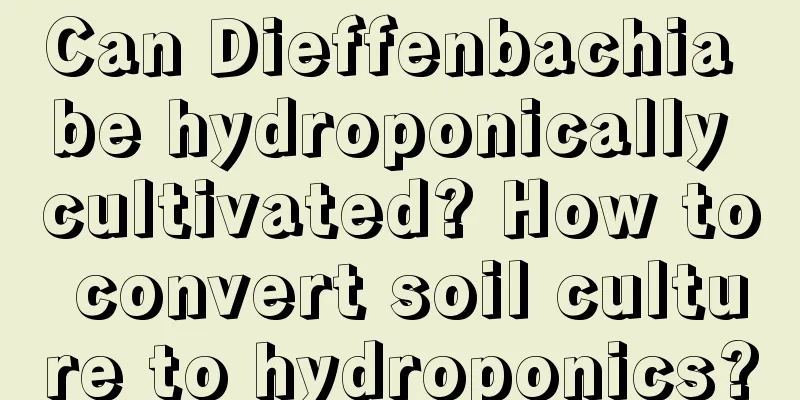 Can Dieffenbachia be hydroponically cultivated? How to convert soil culture to hydroponics?