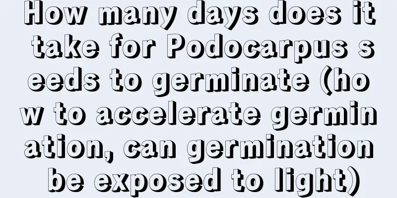 How many days does it take for Podocarpus seeds to germinate (how to accelerate germination, can germination be exposed to light)