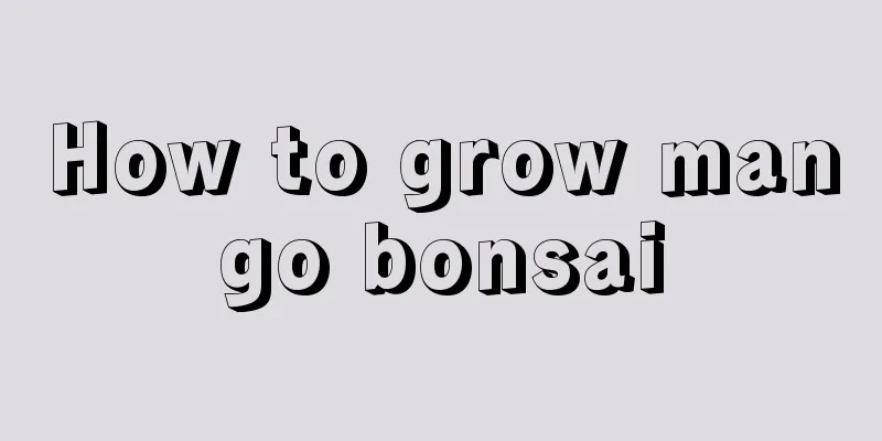 How to grow mango bonsai