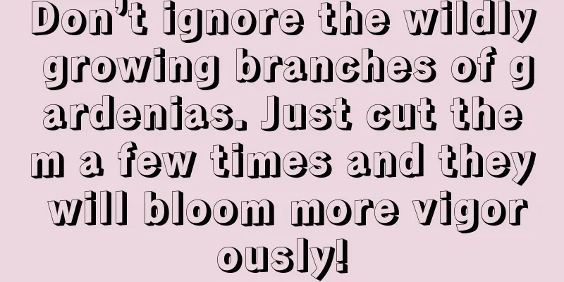 Don’t ignore the wildly growing branches of gardenias. Just cut them a few times and they will bloom more vigorously!