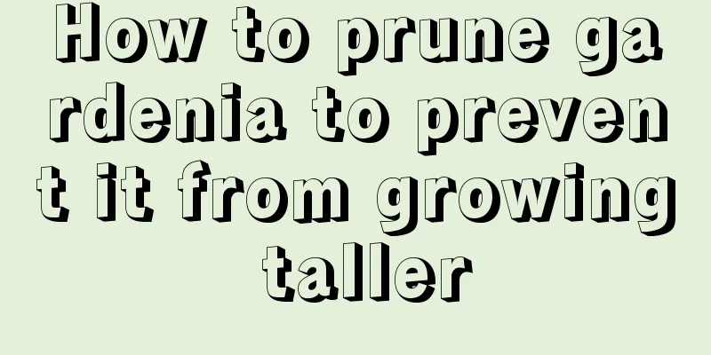 How to prune gardenia to prevent it from growing taller