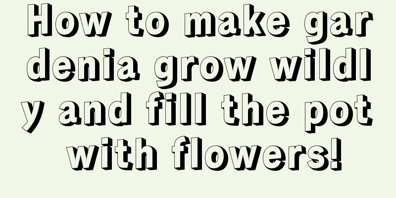 How to make gardenia grow wildly and fill the pot with flowers!