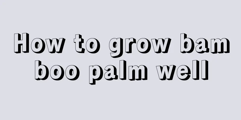 How to grow bamboo palm well