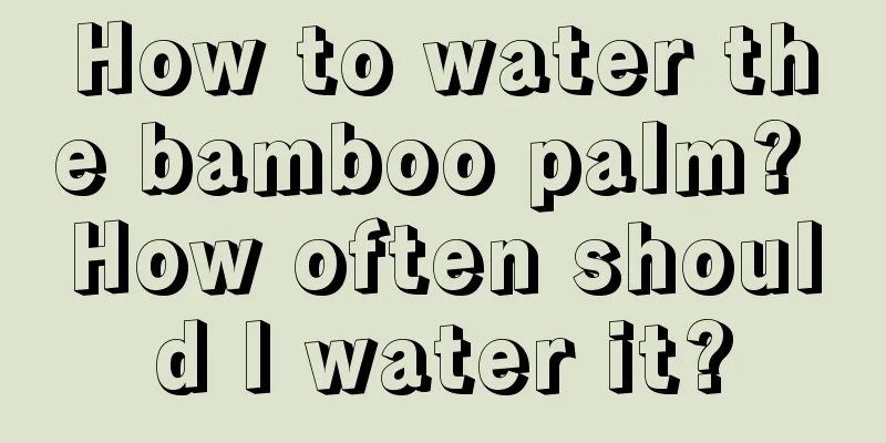 How to water the bamboo palm? How often should I water it?