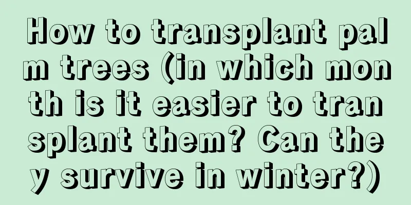 How to transplant palm trees (in which month is it easier to transplant them? Can they survive in winter?)